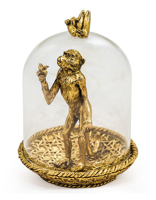 Gold Hungry Monkey in Glass Dome